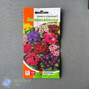 Першоцвіт Великоквітковий (Примула) суміш, 0.1 г 7136 фото