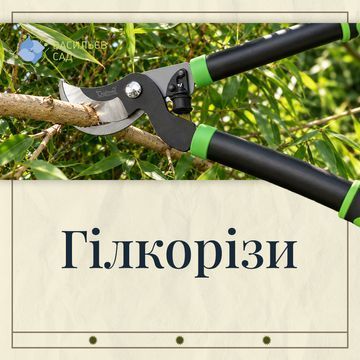 Гілкорізи