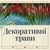 Декоративні трави