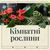 Кімнатні рослини