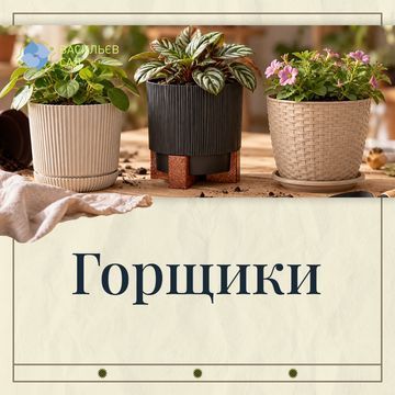 Горщики