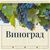 Виноград