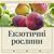 Екзотичні рослини