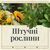 Штучні рослини