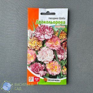 Гвоздика Шабо Двокольорова, 0.2 г 7116 фото