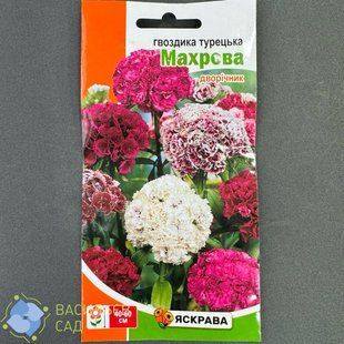 Гвоздика Турецька Махрова, 0.5 г 7117 фото